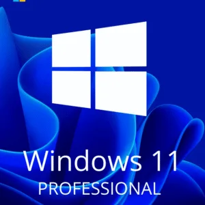 Windows 11 Professional Activation Key